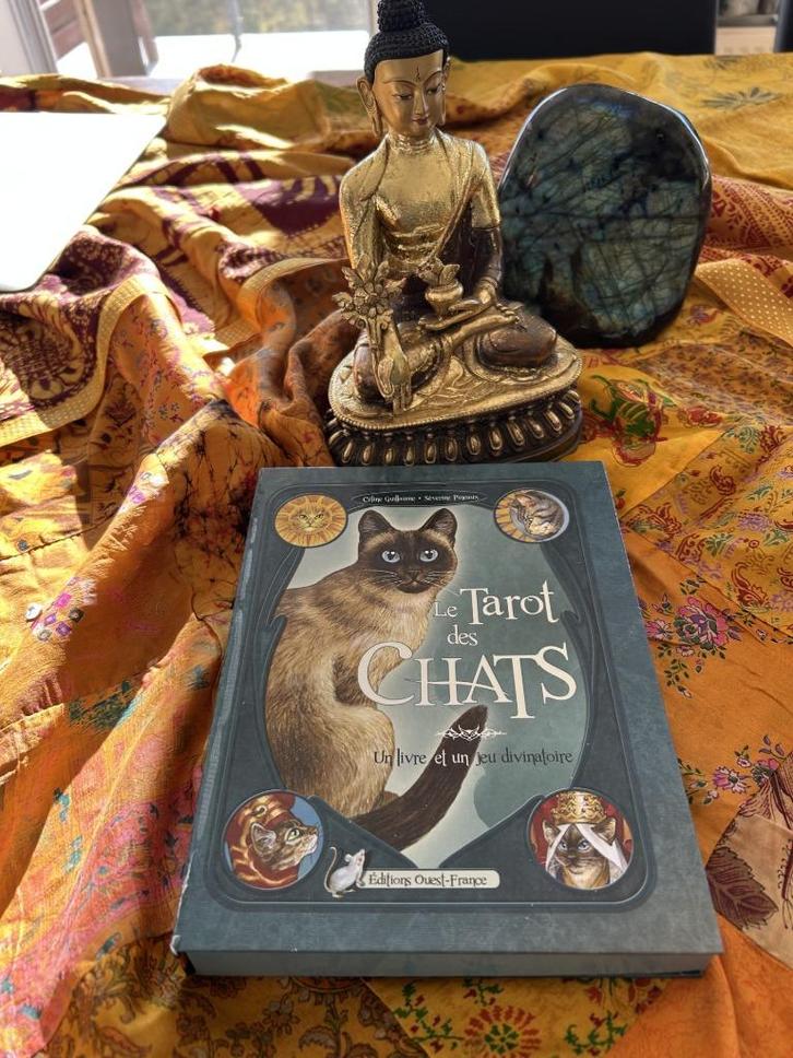 Le Tarot des chats, Boeken, Esoterie en Spiritualiteit, Nieuw, Tarot of Kaarten leggen, Ophalen of Verzenden