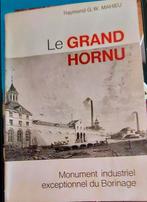 Livre le gd hornu, Boeken, Kunst en Cultuur | Architectuur, Ophalen of Verzenden