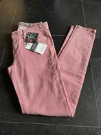 Geisha: leuke broek 176 NIEUW, Kinderen en Baby's, Kinderkleding | Maat 176, Ophalen of Verzenden, Nieuw, Meisje, Broek