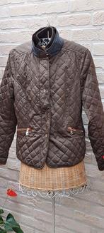 Jas maat xl massimo dutti, Kleding | Dames, Jassen | Winter, Overige kleuren, Massimo Dutti, Maat 46/48 (XL) of groter, Ophalen of Verzenden