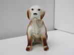 Figurine en porcelaine vintage chien labrador retriever, Enlèvement ou Envoi