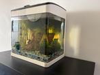 Aquarium, Ophalen, Zo goed als nieuw