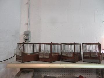 A vendre cage de chant pour oiseaux