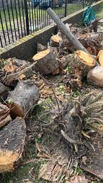 Gratis brandhout, Enlèvement, Autres essences de bois