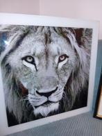 Heel mooi kop van leuw op glas, Antiquités & Art, Art | Peinture | Moderne, Enlèvement