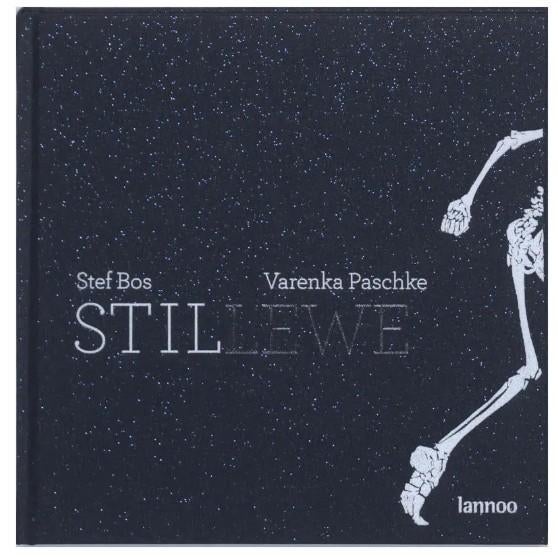 boek Stef Bos - Stillewe, Livres, Musique, Neuf, Artiste, Enlèvement ou Envoi, Stef bos