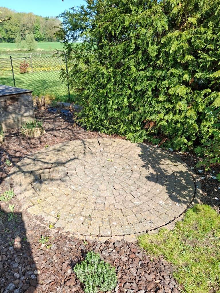 Pavés klinkers rouge -brun à l'origine et donc à nettoyer, Jardin & Terrasse, Enlèvement