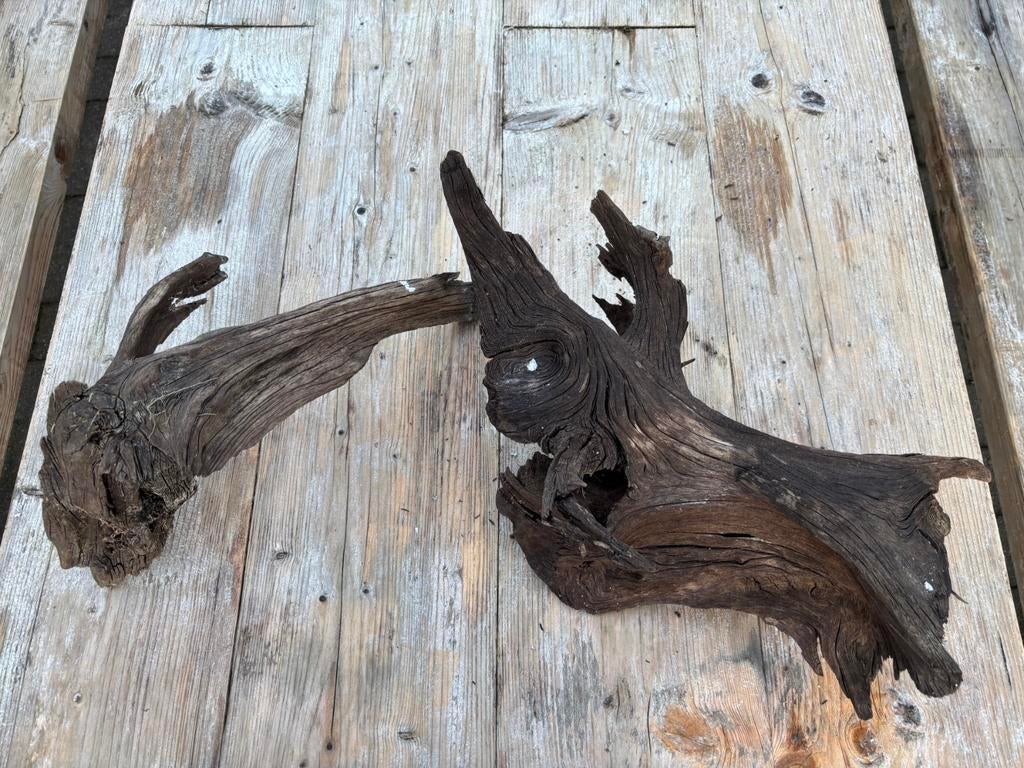 Hout aquarium terrarium, Ophalen, Zo goed als nieuw, Plant(en), Steen of Hout