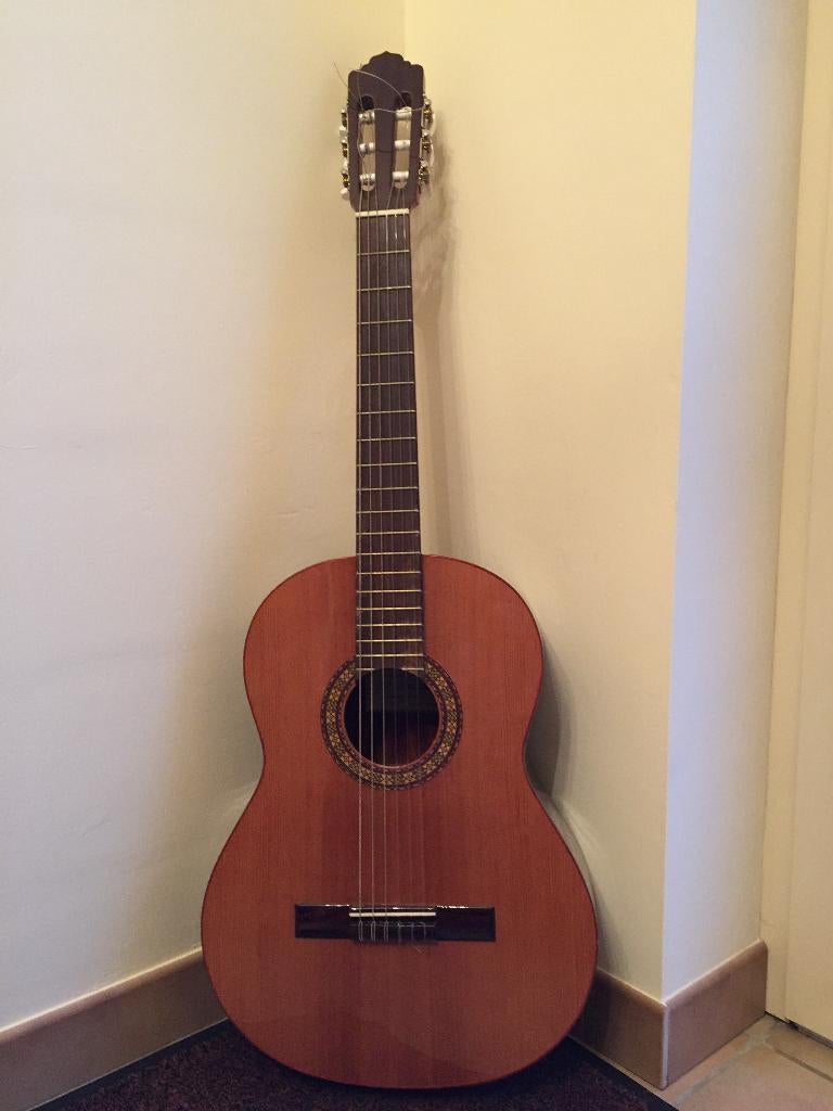 Akoestische gitaar (incl. koffer), Muziek en Instrumenten, Snaarinstrumenten | Gitaren | Akoestisch, Ophalen