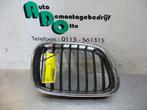 Calandre d'un BMW X5, Autos : Pièces & Accessoires, -, 3 mois de garantie, Utilisé, -