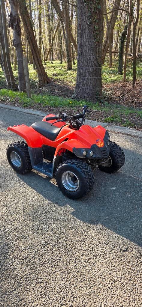 Quad Dinli 50 enfant, Motos, Quads & Trikes