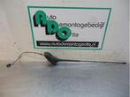Antenne d'un Citroen C3 (C3 09-), -, 3 mois de garantie, Utilisé, -