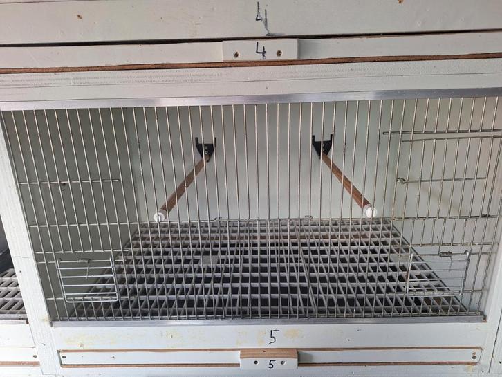 Kweekkooien met ledverlichting, Dieren en Toebehoren, Vogels | Overige Vogels