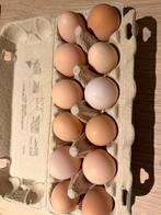 Broedeieren Brahma mix, Enlèvement, Comme neuf