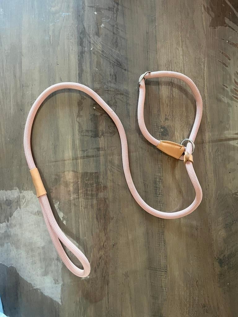 Hondenriem te koop, Dieren en Toebehoren, Ophalen of Verzenden, Zo goed als nieuw, Hondenriem