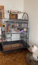 Grote papegaaien kooi, Dieren en Toebehoren, Vogels | Hokken en Kooien, Ophalen, Gebruikt, Metaal, Vogelkooi
