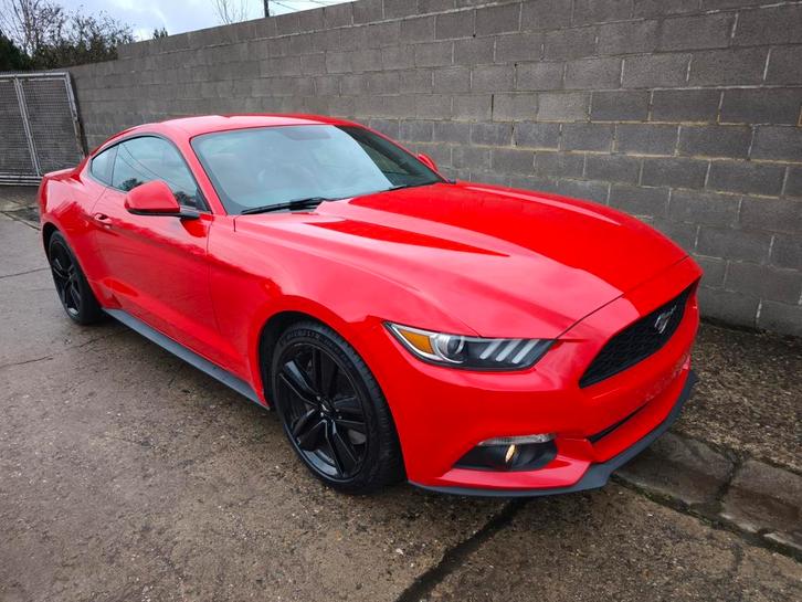 Ford Mustang 2.3 ecoboost *Faible km*, Auto's, Ford, Particulier, Mustang, Benzine, Handgeschakeld, Rood, Dealer onderhouden, Onderhoudsboekje