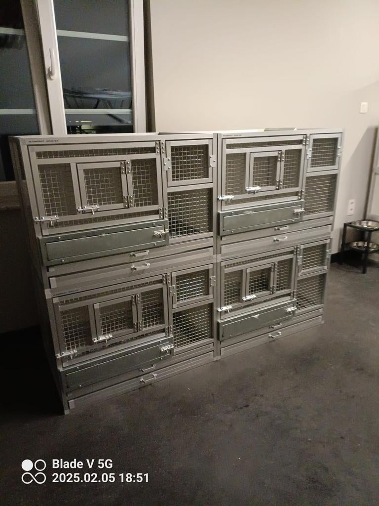 KOOIEN - KWEEKKOOIEN  80 X 60 X 60 . ( NIEUW ), Ophalen, Nieuw