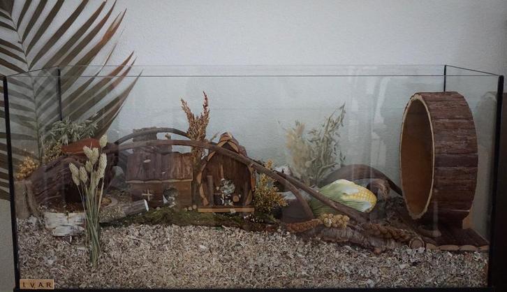 Terrarium 80x40x40 zonder schuifruiten, Animaux & Accessoires, Rongeurs & Lapins | Cages & Clapiers, Neuf, Niche, Moins de 60 cm