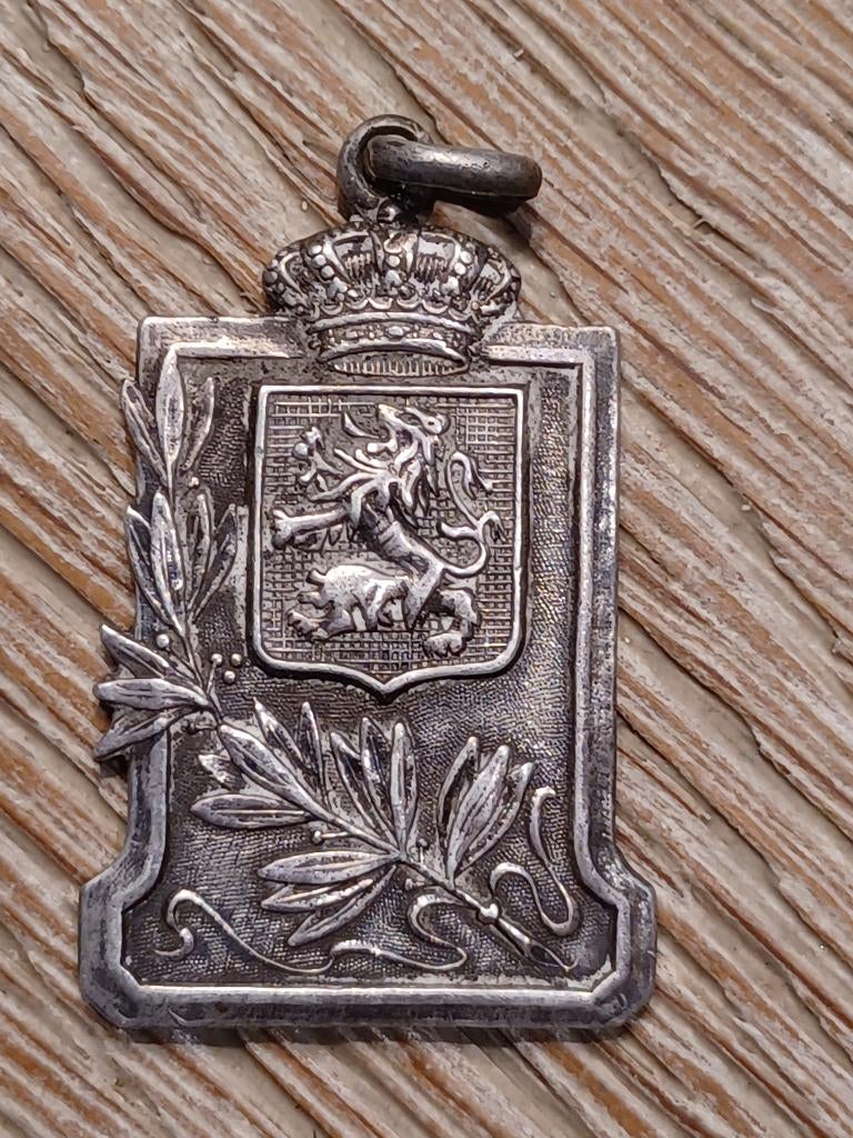 wo1 tavigny a ses braves 1914 1918, Ophalen of Verzenden, Overige soorten, Lintje, Medaille of Wings