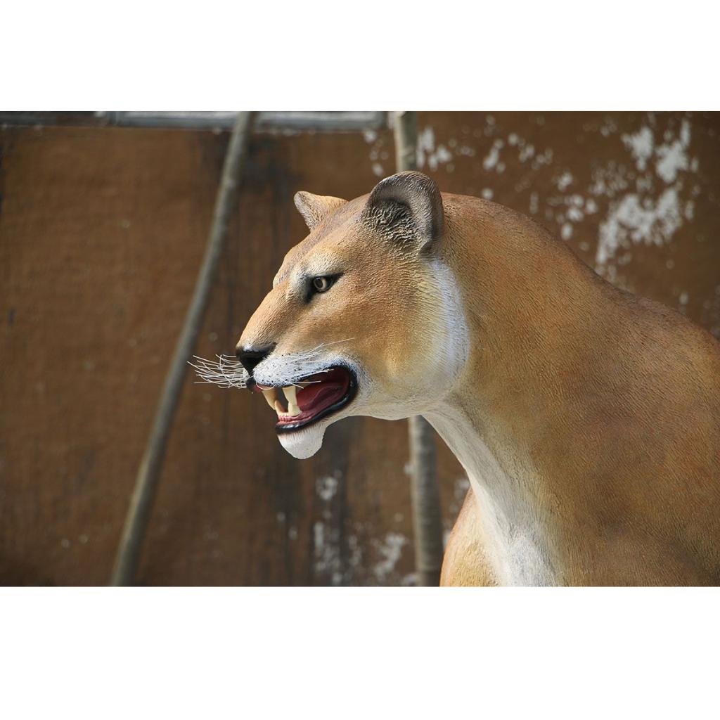 Lionne lion marchant 243 cm - Statue de lionne, Enlèvement, Neuf