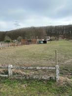 Weide/landbouwgrond te koop, Immo, Wezemaal, Verkoop zonder makelaar, 1500 m² of meer