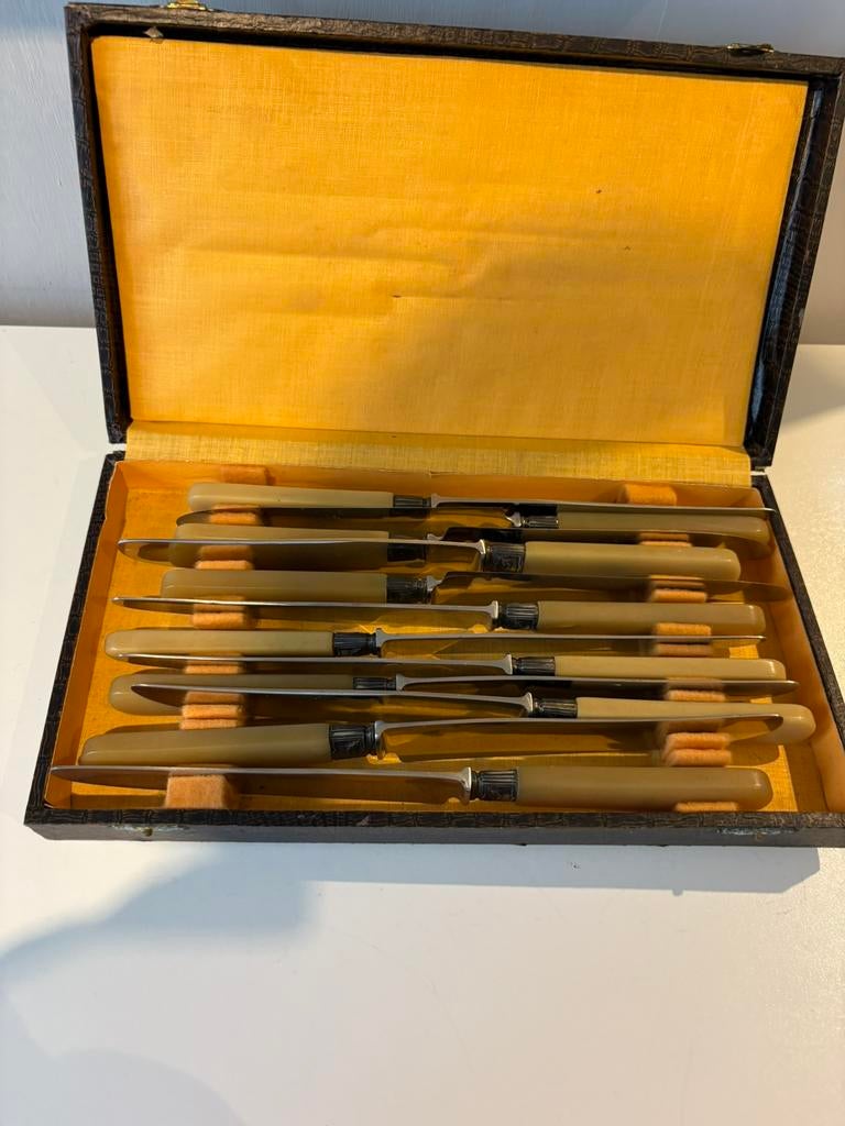 Coffret de 12 anciens couteaux en bakélite et inox, Enlèvement ou Envoi