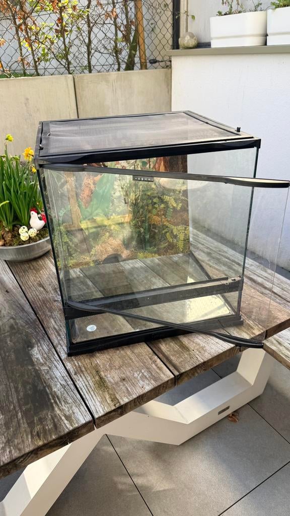 Terrarium 45 cm x 45 cm, Enlèvement, Utilisé, Terrarium ou Paludarium