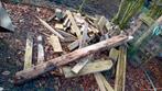 gratis hout, Enlèvement, Autres essences de bois, Bûches