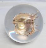 Presse-papiers en coquillage et perles, Collections, Enlèvement ou Envoi, Comme neuf