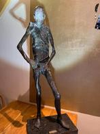 Bronzen beeld van Pieter Vanneste, Antiquités & Art, Enlèvement, Bronze