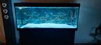 Aquarium Juwel Rio 450 avec meuble noir et pompes externes, Enlèvement, Chauffage, Juwel