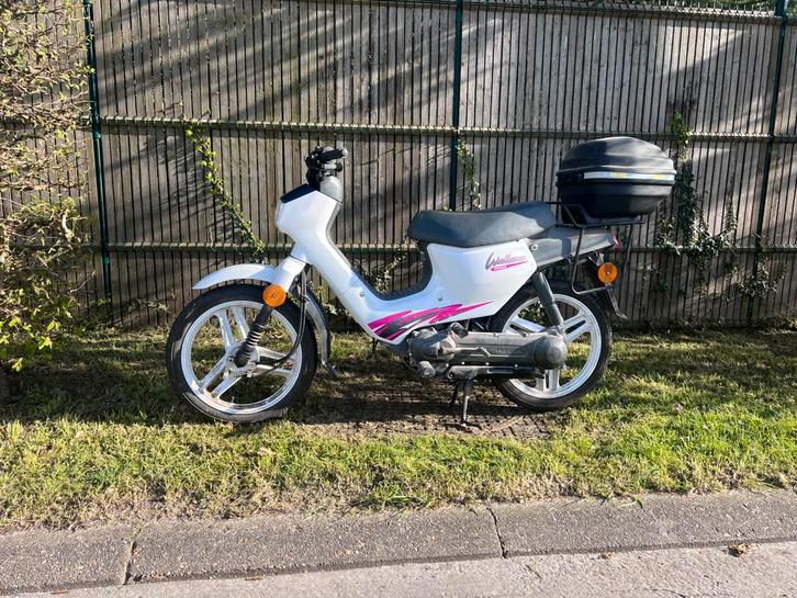 Honda Walleroo B klasse, Fietsen en Brommers, Brommers | Tomos, Gebruikt, Overige modellen, Klasse B (45 km/u), Ophalen