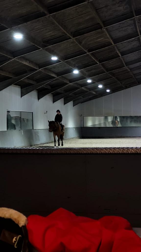 Opzoek naar pony D!!!., Dieren en Toebehoren, Pony's, Meerdere dieren, Zadelmak, D pony (1.37m tot 1.48m), Springpony, 11 jaar of ouder