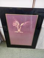 Cadre de Jorge Donn (danseur de Béjart ), Enlèvement, Utilisé