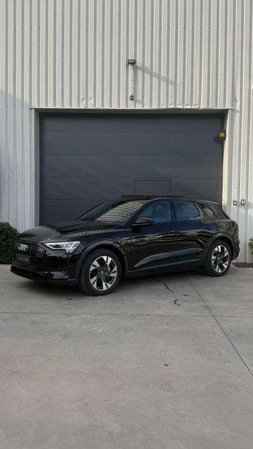 Audi e-tron Camera | Pano | Memory | Luchtvering | Garantie beschikbaar voor biedingen