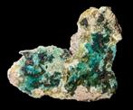KOPER + PAPAGOIET uit Arizona, USA., Ophalen of Verzenden, Mineraal