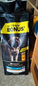 3 zakken hondenvoer pro plan .doe een redelijk bod., Ophalen, Hond