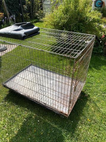 Hondenbench beschikbaar voor biedingen
