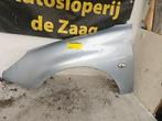 Scherm links-voor van een Peugeot 206 (EYLC), Ophalen of Verzenden, 3 maanden garantie, Gebruikt, Peugeot