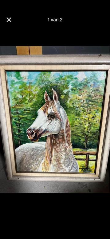 Paard schilderij beschikbaar voor biedingen