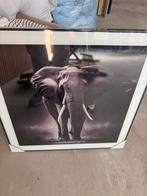 Kader met foto zwart wit, Huis en Inrichting, Woonaccessoires | Lijsten, Ophalen of Verzenden, Nieuw