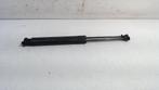 GASDRUKVEERSET ACHTER Renault Zoé (AG) (904502915R), Gebruikt, Renault