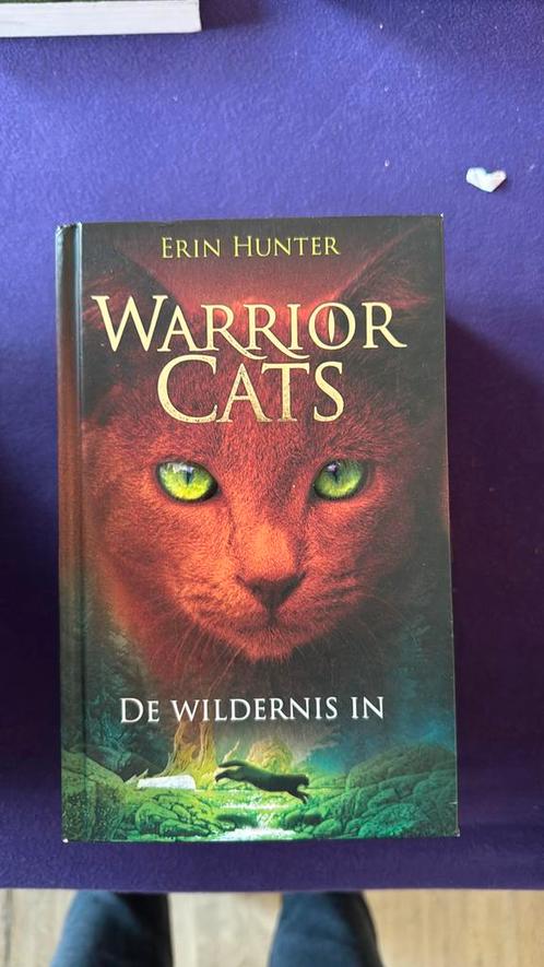 Erin Hunter - De wildernis in, Boeken, Kinderboeken | Jeugd | 10 tot 12 jaar, Zo goed als nieuw, Ophalen
