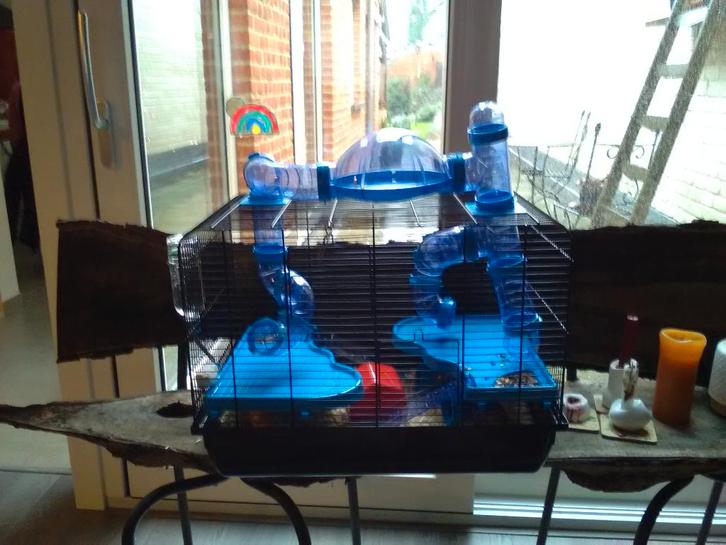 hamsterkooi/hok, Dieren en Toebehoren, Knaagdieren en Konijnen | Hokken en Kooien, Zo goed als nieuw, Kooi, Minder dan 60 cm, Minder dan 75 cm