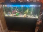 Aquarium juwel met meubel en pompen, Dieren en Toebehoren, Vissen | Aquaria en Toebehoren, Ophalen, Gebruikt, Leeg aquarium
