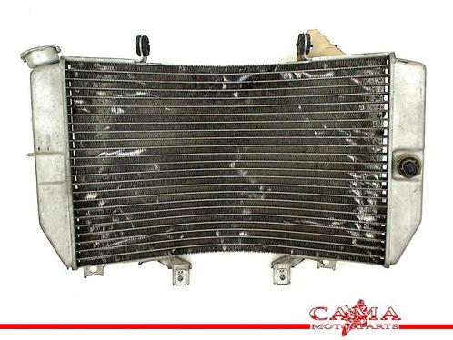 RADIATEUR EAU GSX R 1000 2003-2004 (GSXR1000 K3 / K4), Motos, Pièces | Suzuki, Utilisé