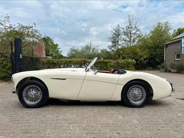 Austin Healey 100/4, BN2, 1956, Autos, Cuir, Achat, 2660 cm³, 1041 kg
