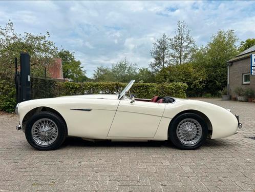 Austin Healey 100/4,BN2, 1956, Auto's, Austin, Particulier, Benzine, Cabriolet, 2 deurs, Handgeschakeld, Wit, Overige kleuren