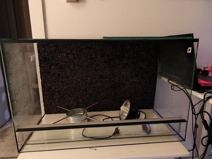 Terrarium, Dieren en Toebehoren, Reptielen en Amfibieën | Toebehoren, Zo goed als nieuw, Terrarium of Paludarium, Ophalen